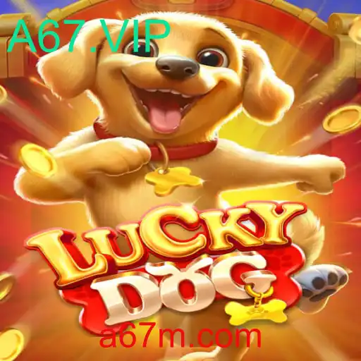 Jogo LuckyDog: Como Jogar e Entender suas Regras